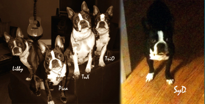 The Family - TuX, Pica, Trio, Libby and Syd